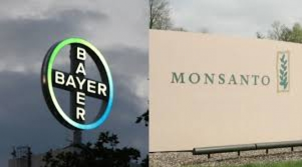 Bayer, dona da Monsanto, é alvo de mais de 18 mil processos nos EUA