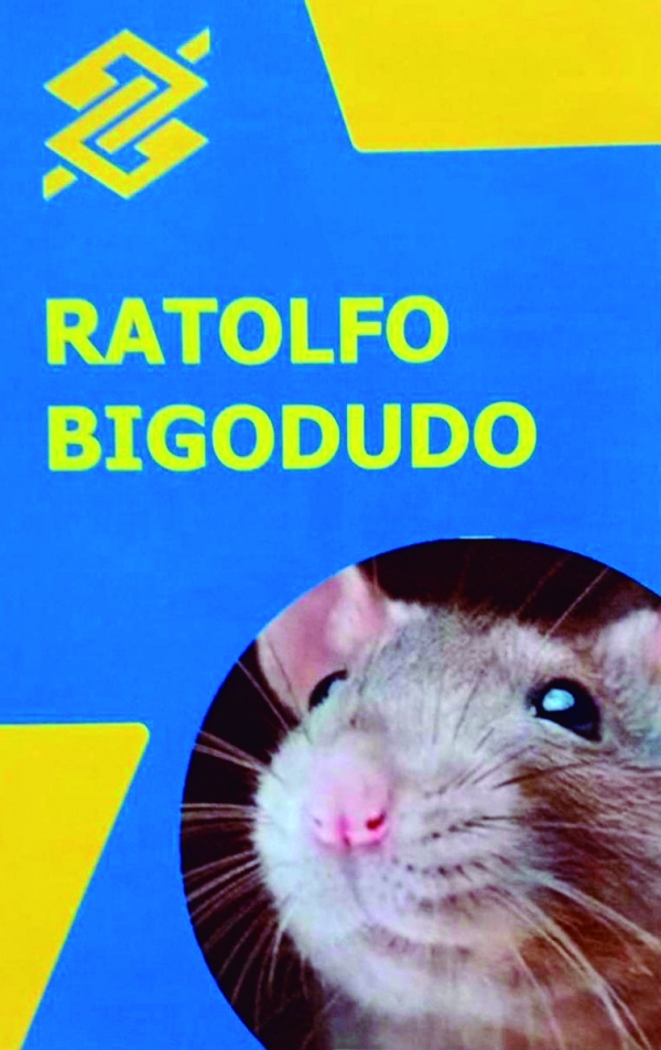 BB: lanche de funcionários da  Agência Méier é atacado por ratos