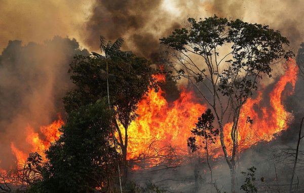 Incêndios aumentaram 84% na Amazônia