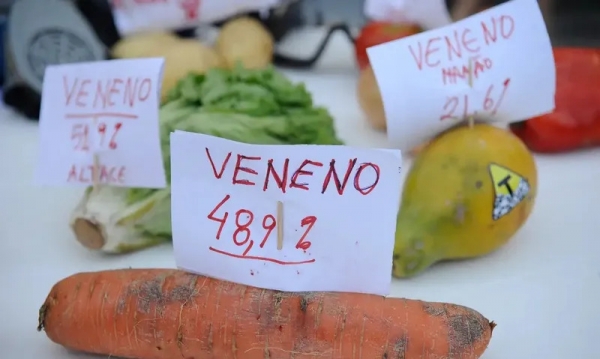 PL do Veneno foi criticado pela Fiocruz e pela ONU por potenciais danos ao meio ambiente e à saúde humana - Fernando Frazão/ Agência Brasil.