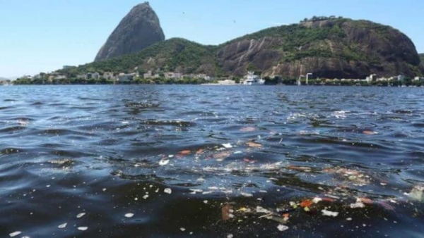 A despoluição e preservação  ambiental da  Baía de Guanabara é um desafio de todos. O atual governo do Estado e a Cedae privatizada não têm compromisso com a sustentabilidade