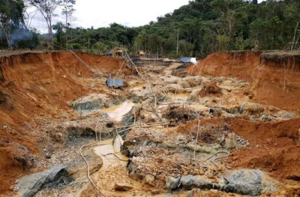 Com autorização do governo federal, garimpo ilegal avança na Amazônia