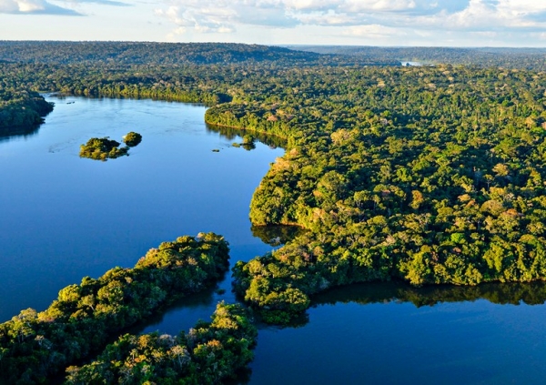 A preservação da Amazônia é um dos desafios mais urgentes do Brasil para a proteção do planeta e da própria existência humana