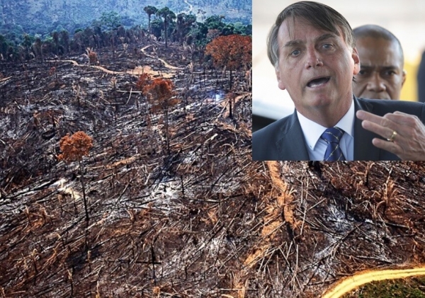 Derrota de Bolsonaro porá fim ao ciclo de ataques ao meio-ambiente
