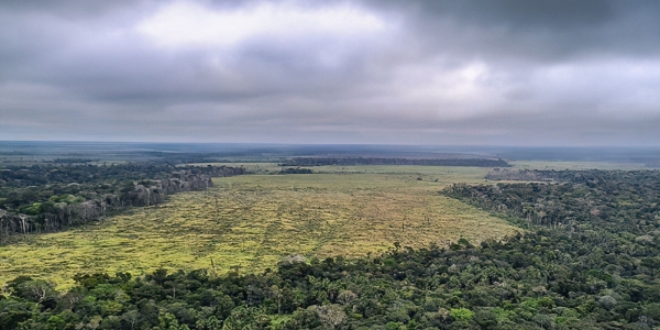 Cida Cruz: &quot;É o pior projeto que este Congresso poderia ter aprovado. O PL destrói todo o arcabouço de leis de proteção ao meio ambiente que o Brasil construiu com dificuldade até agora&quot;. Foto: Agência Brasil.