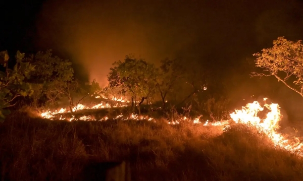 Floresta Amazônica tem sofrido com seca e incêndios. Foto: Agência Brasil.