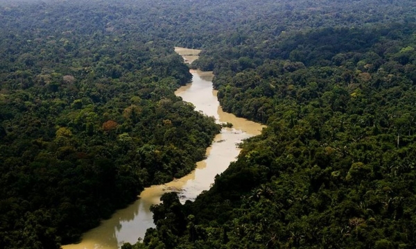 Trabalhadores devem participar das conferências sobre meio ambiente